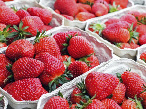В Україні почали падати ціни на полуницю – скільки зараз коштує ягода