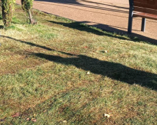 Детей не остановить: новый газон в центре Мариуполя уже успели вытоптать (ФОТО)
