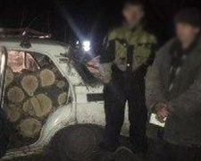 В Донецкой области лесорубы попались «на горячем» (ФОТО)