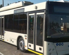 Мариупольцы предложили пустить новые троллейбусы в микрорайон "Черемушки"