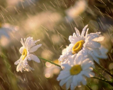 Мариупольцы встретят лето под проливными дождями и грозой