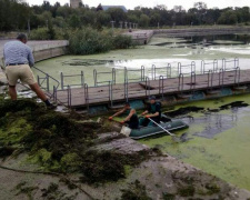 Реку Кальчик в Мариуполе оккупировали водоросли, ряска и камыш (ФОТО)