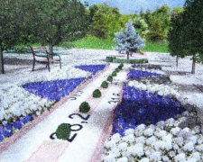 Бело-голубые волны из более чем 7000 цветов украсят Мариуполь (ФОТОФАКТ)