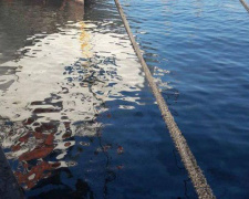 Мариупольская акватория загрязнена нефтепродуктами (ФОТО)