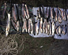 Браконьеры в Мариуполе наловили рыбы на десятки тысяч гривен