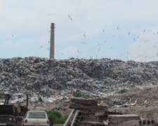 В Мариуполе разберут по составу мусор и определят его ценность