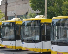Стало известно, по каким маршрутам будут ездить новые автобусы, приехавшие в Мариуполь (ФОТО)