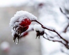 Європейський циклон принесе потепління та "з’їсть" сніг: прогноз погоди в Україні на тиждень