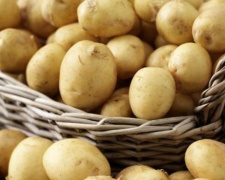 По какой цене мариупольцы будут покупать картофель на зиму?