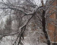 В праздничные выходные в Мариуполе под тяжестью снега на дома и дороги рушились деревья