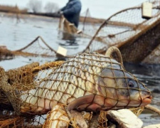 В Азовском море браконьеры выловили рыбы почти на миллион гривен