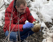Возле села под Мариуполем нашли человеческий череп (ФОТО)