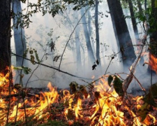 На Донетчине – чрезвычайный уровень пожарной опасности: есть риск масштабных ЧС