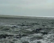 Море далеко отошло от мариупольского берега, оголив песчаное дно