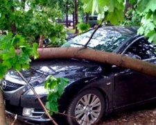 В Мариуполе водитель вылетел в кювет и въехал в дерево