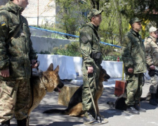 Полицейские собаки из пяти областей прибыли на подкрепление в Мариуполь (ФОТО)