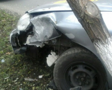 В Мариуполе автомобиль службы такси врезался в дерево (ФОТОФАКТ)