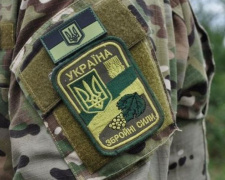 В Донбассе вступило в силу «школьное» перемирие