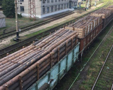В Донецк пытались вывезти 40 вагонов древесины на 1 млн грн. (ФОТО)
