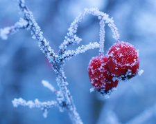 Морози до - 14 градусів: в Україну незабаром прийде справжня зима