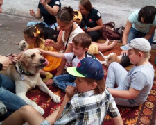 В Мариуполе мопсы и лабрадоры помогают детям адаптироваться к жизни (ФОТО)