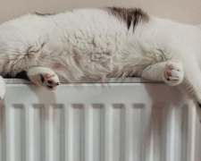 Почему котельные Мариуполя работают не на полную мощность, и куда обращаться при отсутствии тепла?