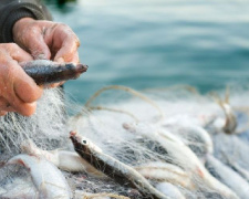В Мариуполе мужчина наловил рыбы на 10 тысяч гривен
