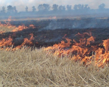 В Мариуполе убирают сухостой во избежание пожаров