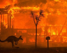 Пожары Австралии: погибли 23 человека и полмиллиарда животных (ФОТО+ВИДЕО ИЗ КОСМОСА)