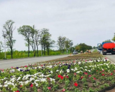 Мариупольцев и гостей города встретит яркий ковер из тысячи цветов