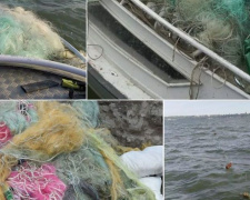 Пограничники выловили из Азовского моря порядка километра сетей с рыбой внутри (ФОТО)