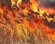 В Мариуполе объявили высокий уровень пожарной опасности