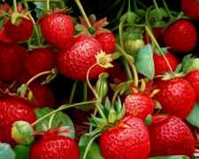 Садоводов Мариуполя предупредили: чудо-ягодницы клубники из интернета можно, но осторожно