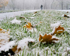 Тумани, дощі та перший сніг: відомий прогноз погоди в Україні на наступний тиждень