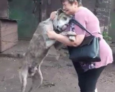 Со слезами на глазах: в Мариуполе женщина встретилась с любимым псом, которого выкрали два года назад (ВИДЕО)