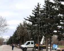 Мариупольский парк готовят к новогодним праздникам (ФОТОФАКТ)