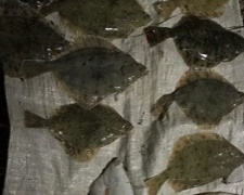 «Хорошо клюет»: мариупольцы наловили рыбы на 30 тысяч гривен (ФОТО)