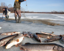 Мариупольская рыбинспекция изъяла у браконьеров улов на 133 тыс. грн