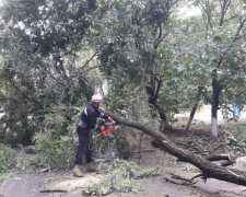 На Мариуполь обрушилась непогода: повалены деревья, обесточены десятки улиц (СПИСОК)