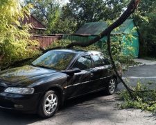 В Мариуполе ветер валит деревья и срывает металлоконструкции. Часть города обесточена (ДОПОЛНЕНО)