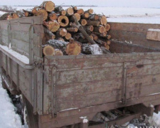 На Донетчине мужчина бросил грузовик с незаконно порубленными дровами (ФОТО)