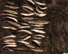 Мариупольский браконьер попался с уловом на 28 тысяч гривен (ФОТО)
