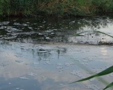 В Мариуполе ищут виновных в «умерщвлении» реки – открыто уголовное производство