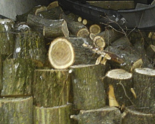 Под Мариуполем предотвратили варварскую вырубку леса (ФОТО)