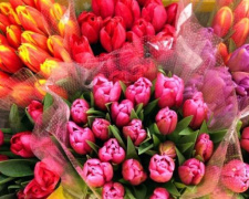 Букетный период: во сколько мариупольцам обойдутся цветы к 8 марта?