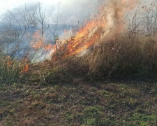 В Мариуполе горел сухостой: огонь мог перекинуться на жилые дома