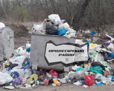 Мешканців Донецька "виселяють" щурі: гризуни та сміття перетворили життя в місті на катастрофу