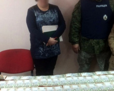 Сотрудницу фискальной службы в Донецкой области задержали за взятку