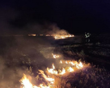 На Донетчине за сутки произошло 25 пожаров, 9 из них – возгорания в природных экосистемах