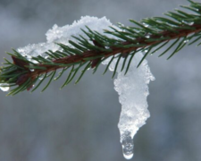 Від відлиги – до легких морозів: синоптик розповів, якою буде погода в Україні з 11 по 17 грудня